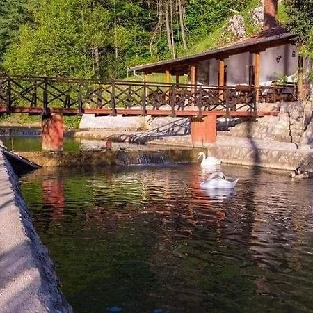Appartamento Valja Mare Moma Golubac Esterno foto