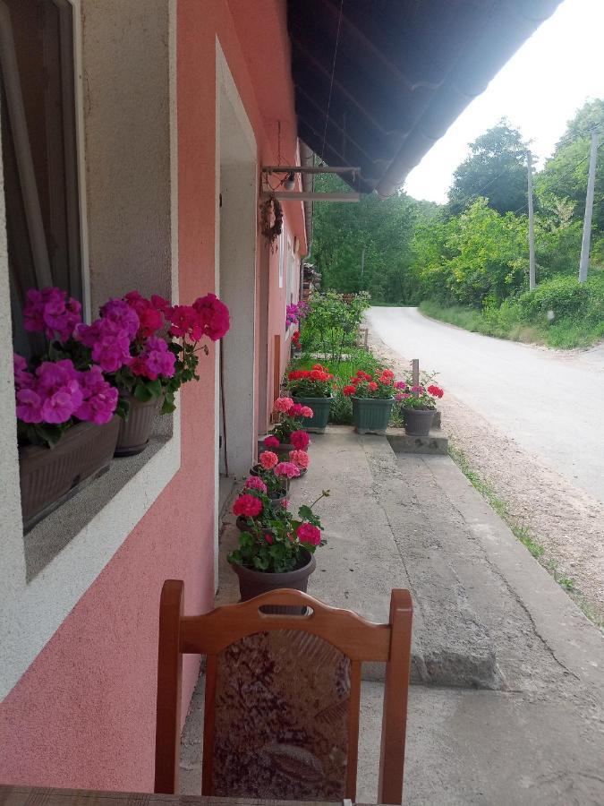 Appartamento Valja Mare Moma Golubac Esterno foto