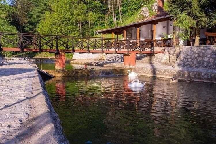 Appartamento Valja Mare Moma Golubac Esterno foto